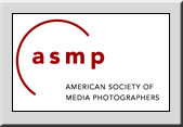 American Society of Media Photographers