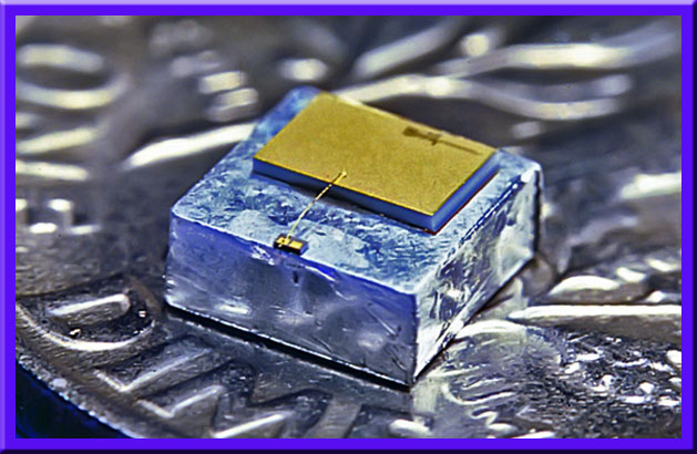 Macro Photography