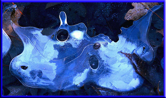Fine Art Photography of Ice